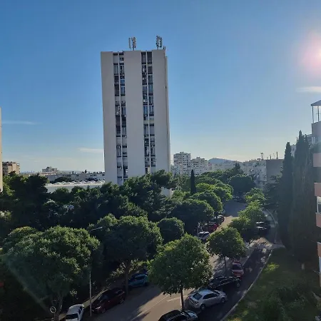 Papillon * سبليت