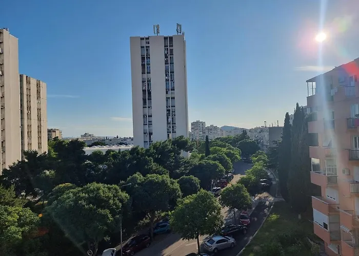 Papillon * 斯普利特