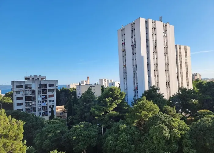 Papillon 斯普利特