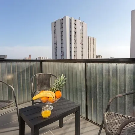 Papillon 스플리트